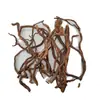 Ramas de Raíz de Azalea con Piel, Ramas Parcialmente Peladas, Madera a la Deriva, Tanque de Hierba, Material de Paisajismo para Esqueleto de Selva Tropical de Reptiles