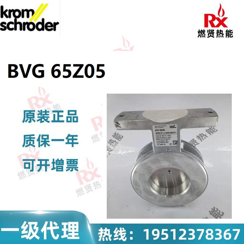BVG 65Z05