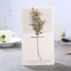 Tarjeta de felicitación con flores secas al por mayor Barato Regalo pequeño de vacaciones Cumpleaños Postal universal Gama alta Ins