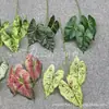 Hoja Realista Individual de Calathea Artificial Impresa en 3D, Planta Verde para Paisajismo Exterior, Decoración del Hogar, Material Floral para Bodas al Aire Libre y Vegetación