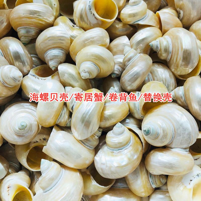 QQ图片20211010114203.jpg