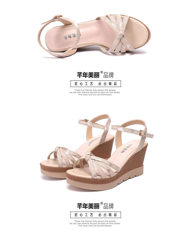 杏色_19.jpg
