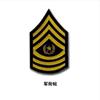 Taifeng Corte Láser Película Reflectante Insignia Reflectante Nivel 1 Nivel 2 Nivel 3 Ropa de Camuflaje Brazalete de Velcro Insignia de Rango Militar