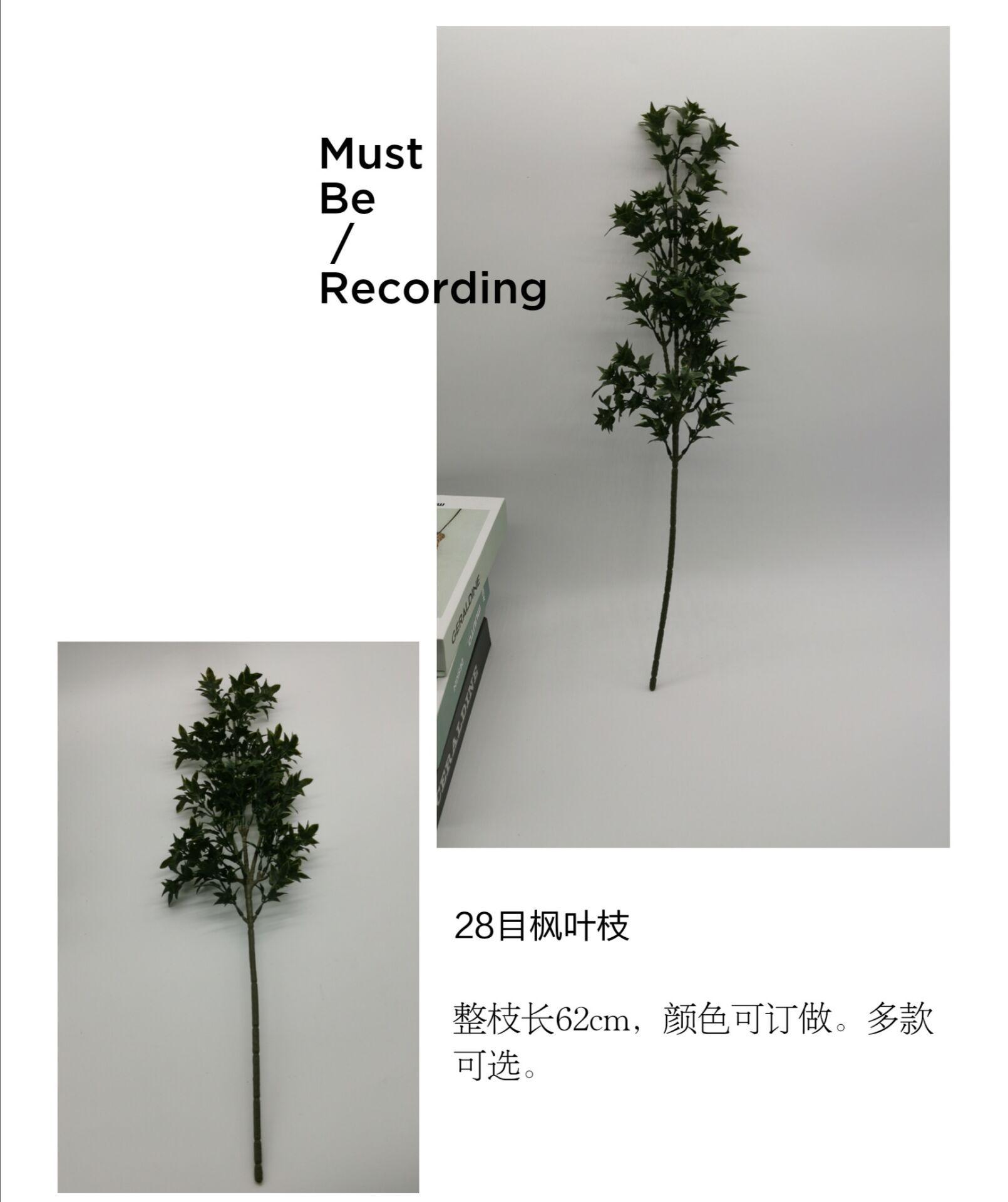 QQ图片20200615162659.jpg