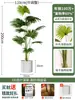 Palmera Areca Artificial Grande de Lujo de Gama Alta, Planta Verde, Árbol Falso, Planta de Bambú Cola de Fénix para Decoración de Paisajismo Tropical de Interiores