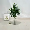 Bolsillo de dinero de simulación planta verde de interior decoración de bonsái de suelo fábrica al por mayor de fábrica bonsái planta artificial