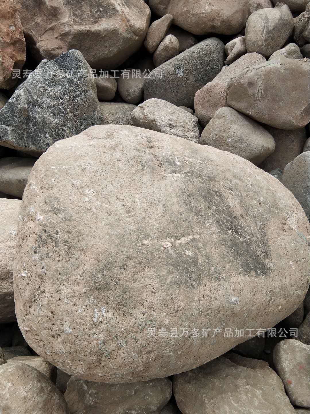 微信图片_20200518185621 - 副本 - 副本