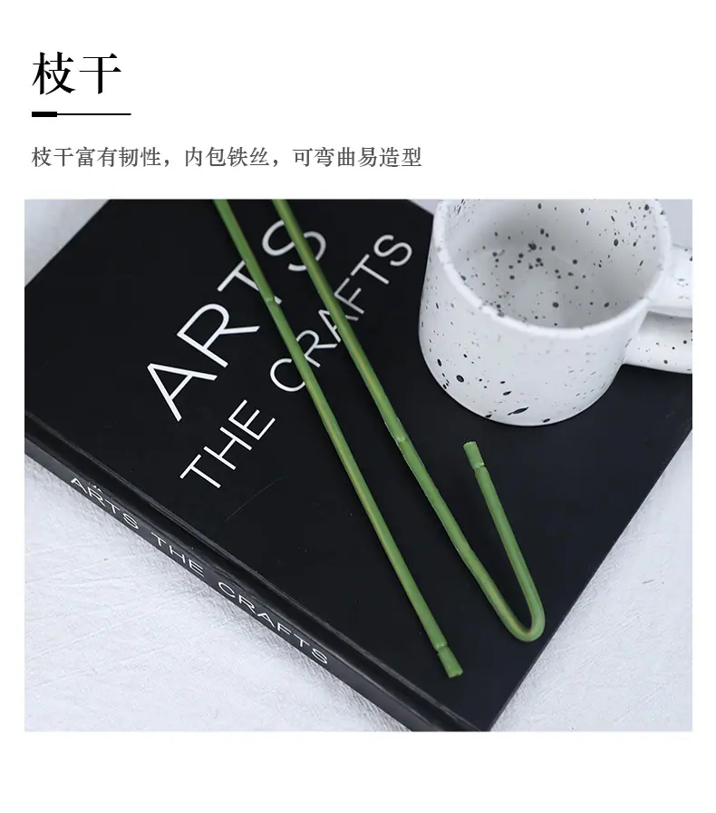 单枝韶华剑兰_13.jpg