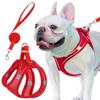 Coleira para Animais de Estimação Transfronteiriça, Coleira para Cães Estilo Colete, Coleira para Cães Refletiva, Coleira para Gatos, Corrente para Cães, Corda para Cães.