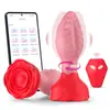 Control Remoto Inalámbrico por App Vibrador de Enchufe Anal Rosa para Balanceo Dispositivo de Masturbación para Hombres y Mujeres Productos para Adultos