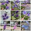 Arreglo floral de fiesta de fantasía rosa y morado, simulación de flores y mariposas, fondo floral a juego, decoración de tienda, flores falsas al por mayor
