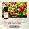 Aceites Esenciales de Aromaterapia Solubles en Aceite de Amazon, Máquina de Aromaterapia de Dos Fluidos, Velas de Uso Único, Aceites Esenciales Compuestos para DIY, Todo en Inglés