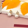 Moda, Sencillo, Versátil, Lujo Ligero, Exquisito, Para el Trabajo, Suave, Estilo Dulce, Pendientes de Cerámica con Perla Colgante, Pendientes Nuevos para Mujer