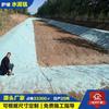 Riego Curado Manta de Cemento Estanque de Peces Cría Río Protección de Talud Manta Protección de Talud de Carretera Manta de Cemento de Curado Protección de Talud