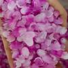 Cuentas checas esmalte de color pétalos 6*10mm Capullo de Campanilla flor de campana lirio del valle accesorios para joyería DIY material para pasadores de pelo