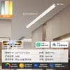 Luminária de Teto Longa Minimalista de Sobrepor para Sala de Estar, Corredor Criativo, Corredor, Varanda Ensolarada e Varanda - Modelo Novo 2026
