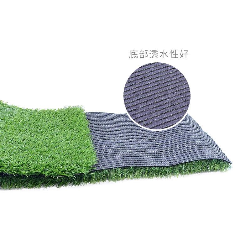 16965525115_66000636