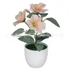 Flores Artificiales Hechas a Mano Flor de la Mañana Bonsái Redondo Pequeño Decoración para el Hogar de Amazon Adornos Pequeños para Escritorio Fabricantes de Comercio Exterior