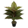 Suministro Exclusivo Transfronterizo de Plantas Verdes Artificiales, Lirios de Calas Salian, Plantas en Maceta, Flores y Hojas Falsas para Decoración y Paisajismo, Adornos para Sala de Estar de Interior