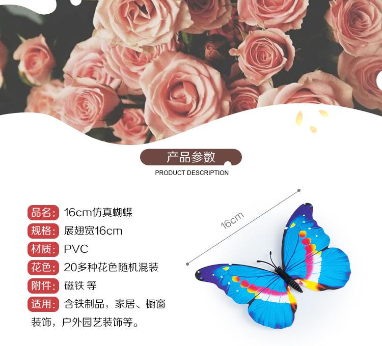 PT16公分-详情_01.jpg