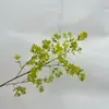 Plantas y Frutas Verdes Artificiales para Boda Estilo Bosque al Aire Libre, Serie Verde Fresco, Decoración de Arreglo Floral para Pasillo, Hojas de Plantas Verdes