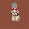 Plugue de Poeira para Celular Pingente Decorativo Acessórios Transfronteiriço Novo Plano Cachorro de Carro Animal de Estimação Gato Fofo Acrílico