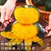 Abóbora Beibei Castanha Abóbora Pequena 5kg Fresca Huie Japonesa Não. 1 Suplemento Alimentar em Pó para Bebês Abóbora Doce Velha Legumes