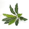 Parede de planta artificial planta verde parede flor decoração acessórios Samambaia folhas falsas 9 garfo feixe ninho de pássaro folhas de samambaia Evergreen