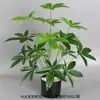 Casamento Verde Floresta Folhas de Flores Artificiais Decoração de Chão de Casamento Arranjo de Flores Flores Falsas Plantas Verdes Flores de Plástico