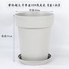Maceta Universal de Galón, Maceta de Resina para Uso Doméstico, Maceta Pequeña, Maceta Engrosada para Rosas, Maceta con Plato
