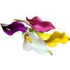 Lirio de cala artificial EVA tacto flor falsa tamaño grande pequeño estilo comercio exterior jarrón sala de estar flor falsa rural Taro artificial