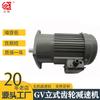 Motorreductor vertical GV de par grande monofásico trifásico de Máquina del Norte 75W-3700W puede elegir
