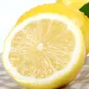 Limón Amarillo Anyue de Sichuan, al por mayor piezas de 1/2/3/ 2.5 kg, limones grandes frescos de pulpa amarilla para uso comercial en tiendas de té con leche
