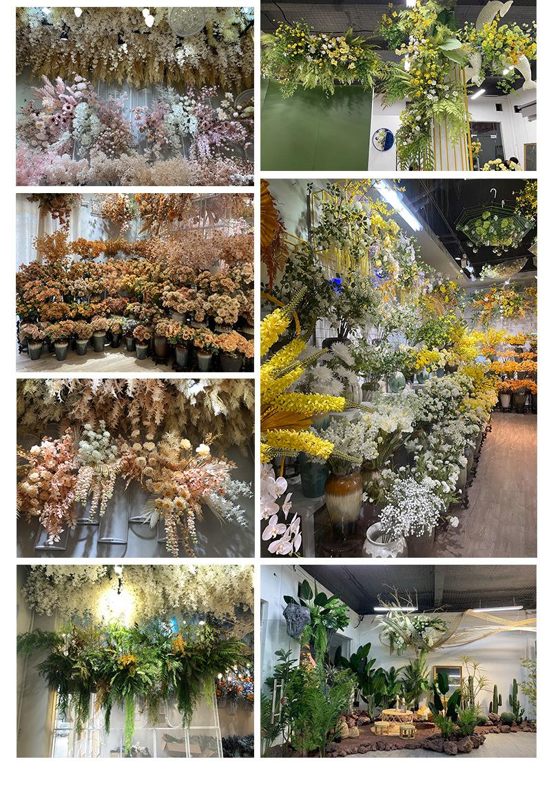 聚美-肯尼亚大飞燕草-详情_17.jpg