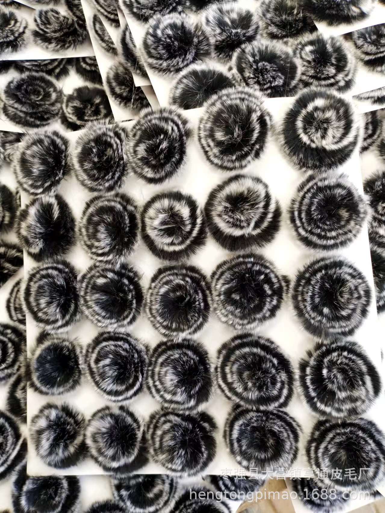 微信图片_202403041457331