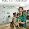 Polvo para Limpieza Dental de Perros Transfronterizo de Amazon, Refrescante Bucal, Polvo Dental de Té Verde, Polvo Dental para Mascotas de Comercio Exterior, Procesamiento OEM
