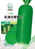 Semillas de Verduras Variadas para Otoño e Invierno, Semillas de Col China, Plántulas con Alta Tasa de Germinación, Nuevas Variedades de Colza Empresas Mayoristas