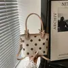 Design de bolsa retrô senso de nicho bolsa de mão feminina 2026 nova bolsa de balde de camurça e pelúcia de bolinhas bolsa de ombro única transversal