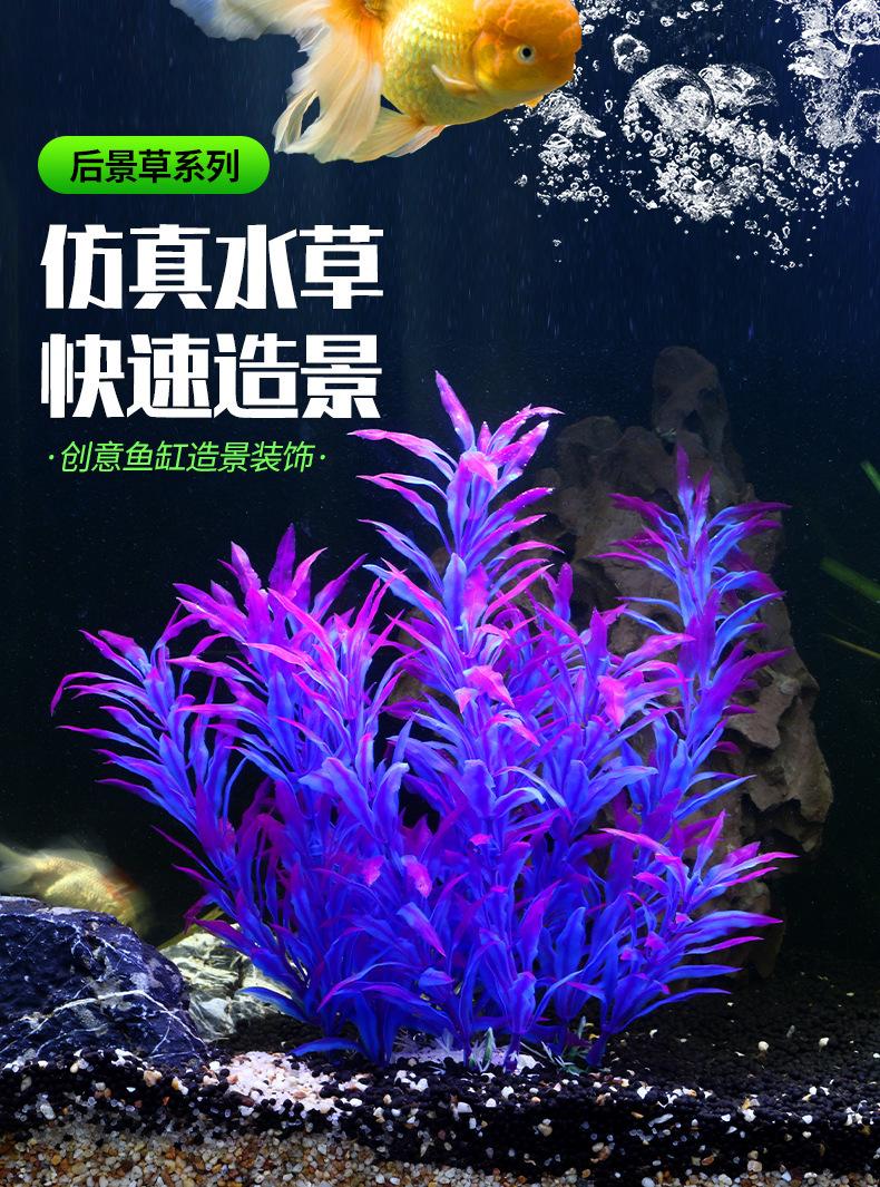 水草1_01.jpg