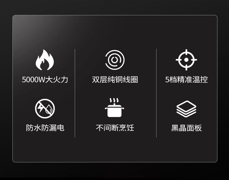 sy5001-_02.jpg