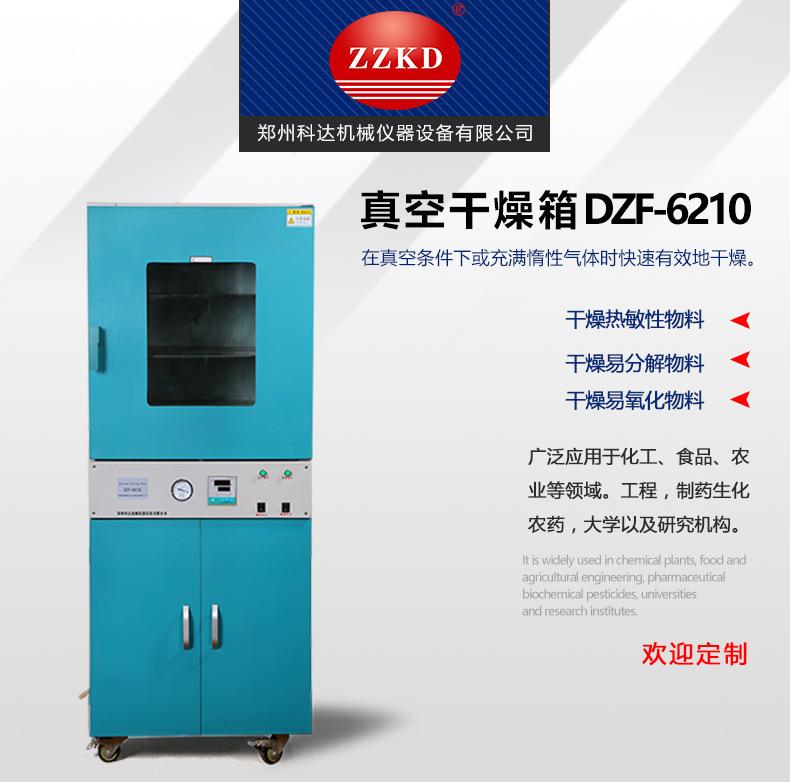 DZF-6210_01.jpg