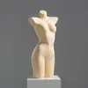 Maniquí de Lencería de Medio Cuerpo para Exhibición en Escaparate de Tienda de Ropa Interior para Hombres y Mujeres, Soporte de Modelo para Trajes de Baño y Sujetadores