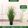 Simulação Reed Artificial Reed Grass Atacado Planta Falsa Shopping Decoração para Casa Cebola Dog Tail Grass Simulação Planta Verde