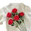 Buquê de Plástico Rosa Dia dos Namorados Decoração de Casa Flores Artificiais Sala de Estar Mesa de Jantar Arranjo de Flores Decoração com Flores Secas