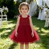 Amazon Crianças Bebê Aniversário Primeiro Aniversário Bolo Fofo Gaze Vestido Princesa Laço Vestido Formal