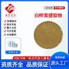 Extrato de Chaga Grau Alimentício Solúvel em Água e Pó de Chaga Polissacarídeo de Chaga Garantia de Qualidade Frete Grátis