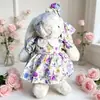 Solo ropa para muñeca Figura de Muñeca Conejo Jeycat Ropa Serie Capítulo Floreciente Lolita Industria Pesada Falda de Encaje Pastel