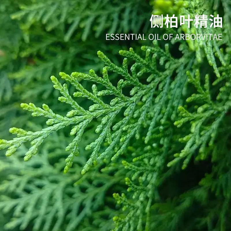 主图=