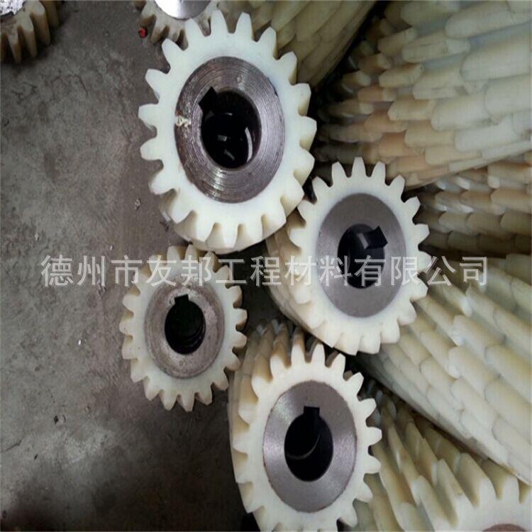 内孔带铁芯尼龙齿轮德州德硕生产