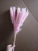 Pequeña flor seca de caña, planta natural, hierba pappas seca, decoración para sala de estar, fiesta, tamaño pampas pampas